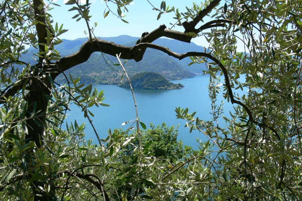 Luci Sul Lago - A Real Paradise Perledo المظهر الخارجي الصورة